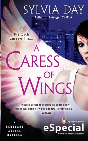 A Caress of Wings by Sylvia Day