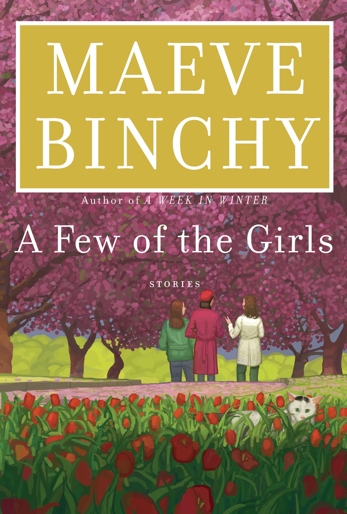 A Few of the Girls (2016) by Maeve Binchy