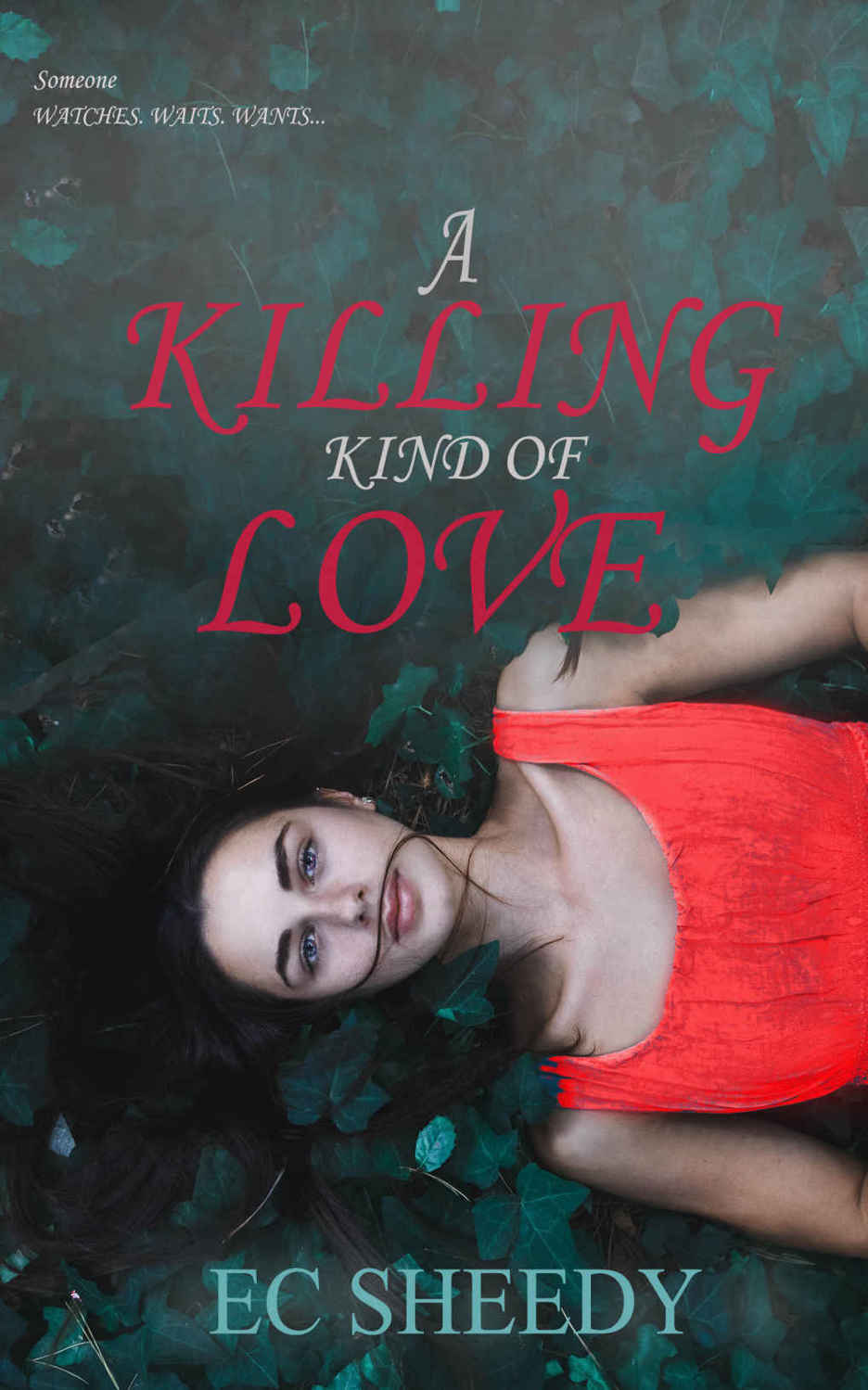A Killing Kind of Love: A Dark, Standalone Romantic Suspense by E.C. Sheedy