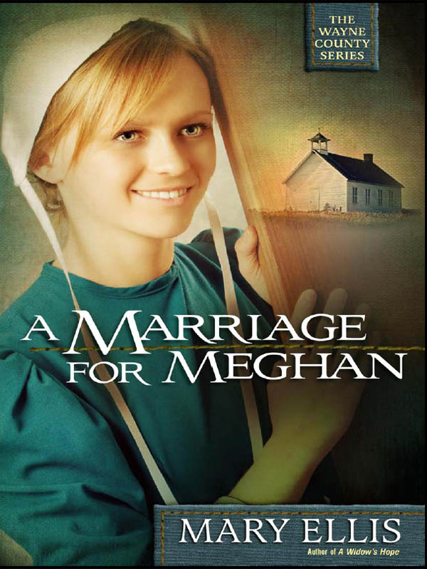 A Marriage for Meghan by Mary  Ellis