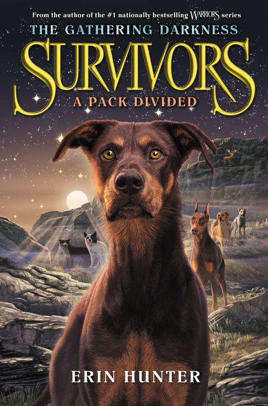 A Pack Divided (2015) by Erin Hunter