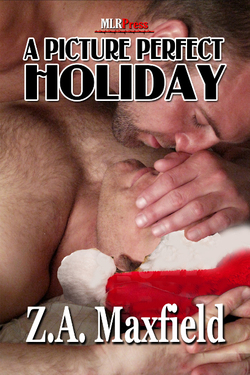 A Picture Perfect Holiday (2011) by Z.A. Maxfield