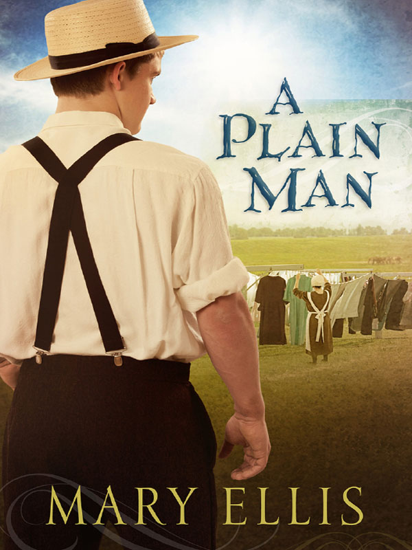 A Plain Man by Mary  Ellis