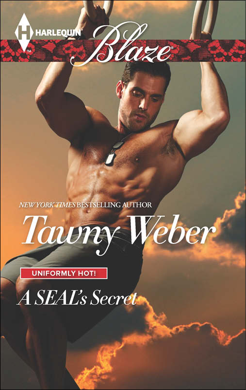 A SEAL's Secret by Tawny Weber