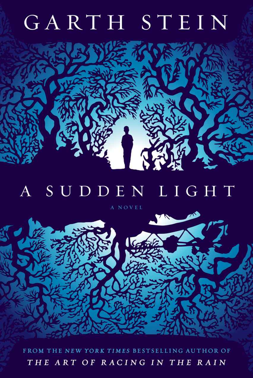 A Sudden Light: A Novel by Garth Stein