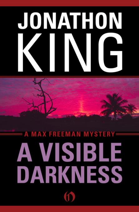 A Visible Darkness by Jonathon King