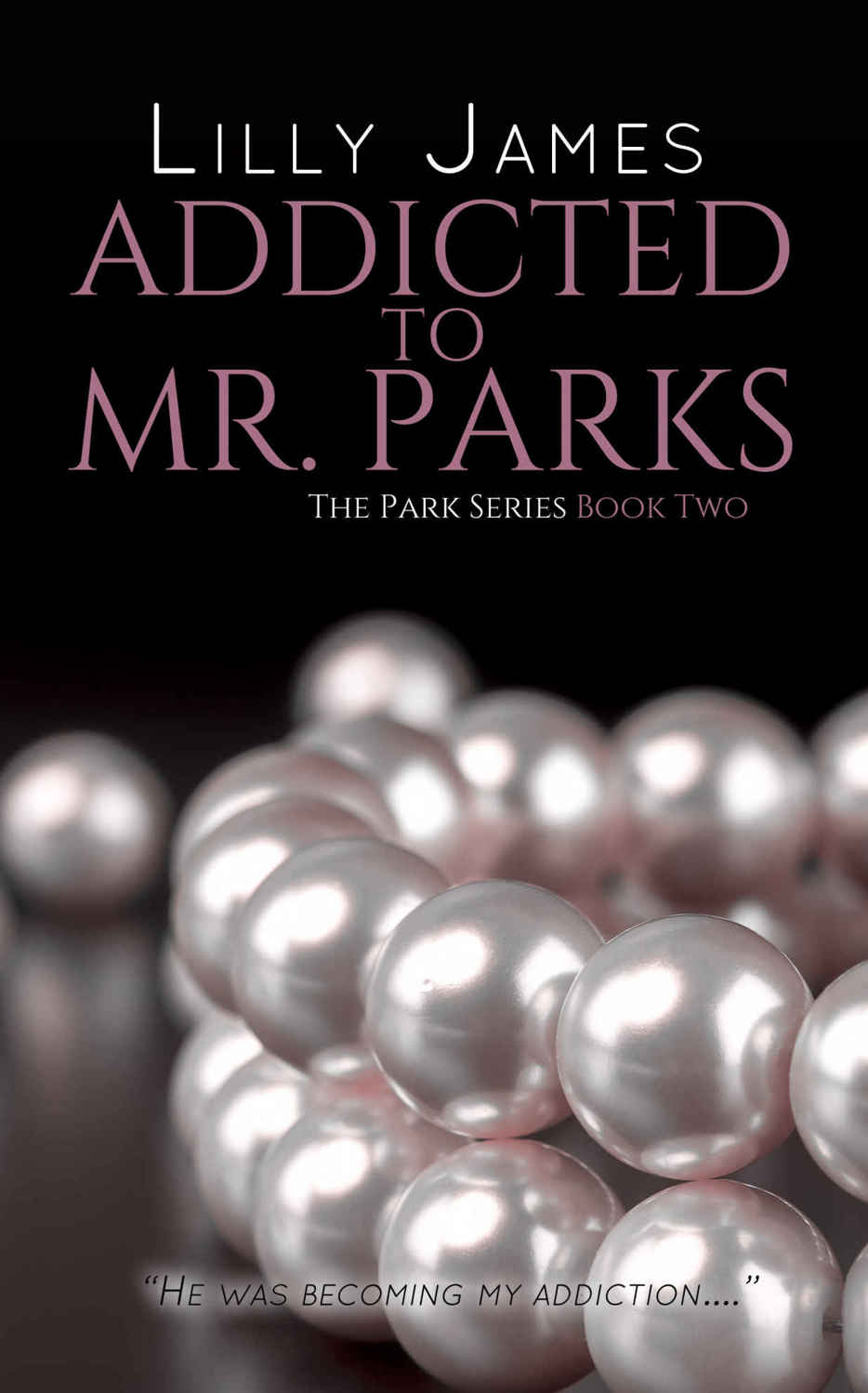 Addicted to Mr. Parks (The Park #2) by Lilly James