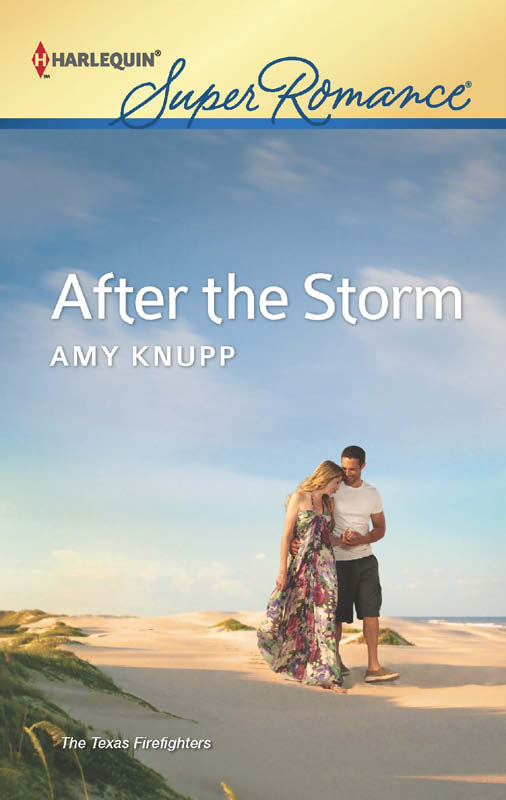 After the Storm (2012) by Amy Knupp