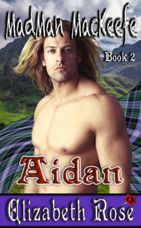 Aidan by Elizabeth Rose
