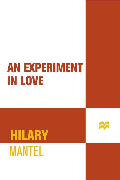 An Experiment in Love: A Novel