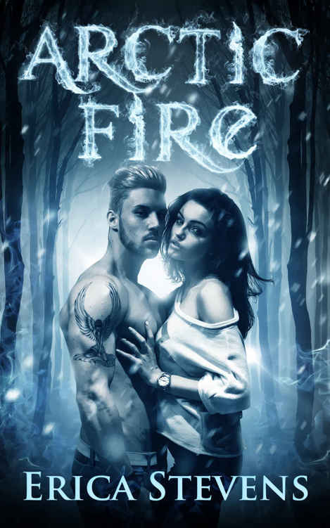 Arctic Fire 2 by Erica Stevens