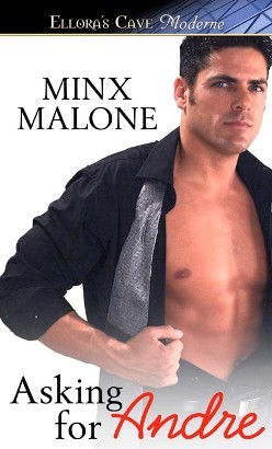 Asking for Andre (2011) by Minx Malone