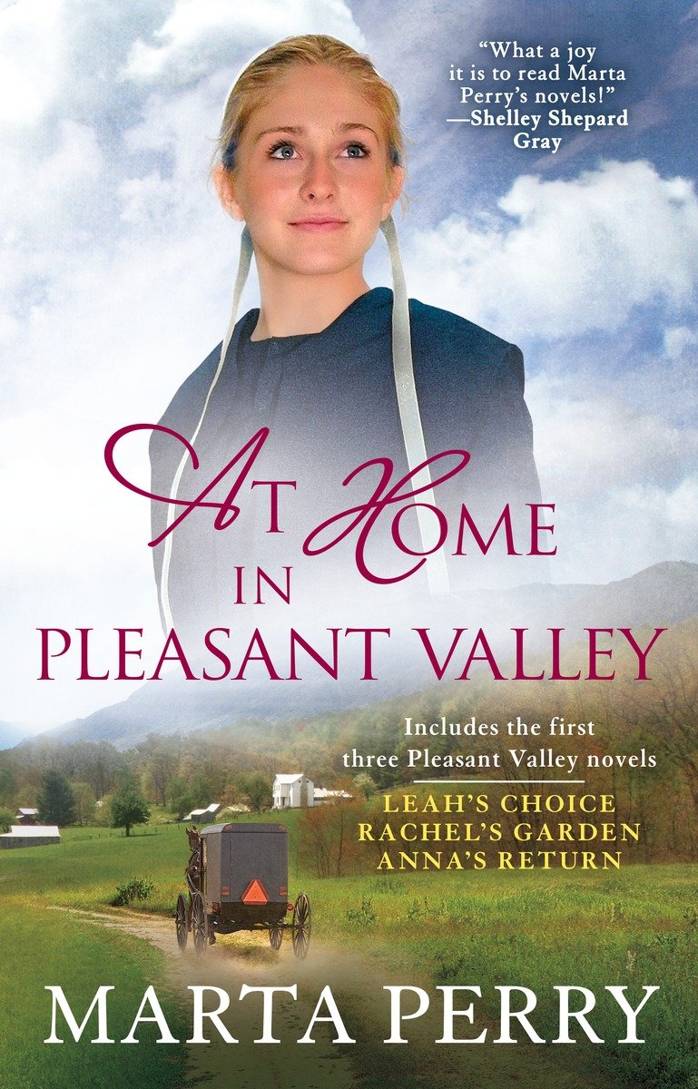 At Home in Pleasant Valley (2015) by Marta Perry
