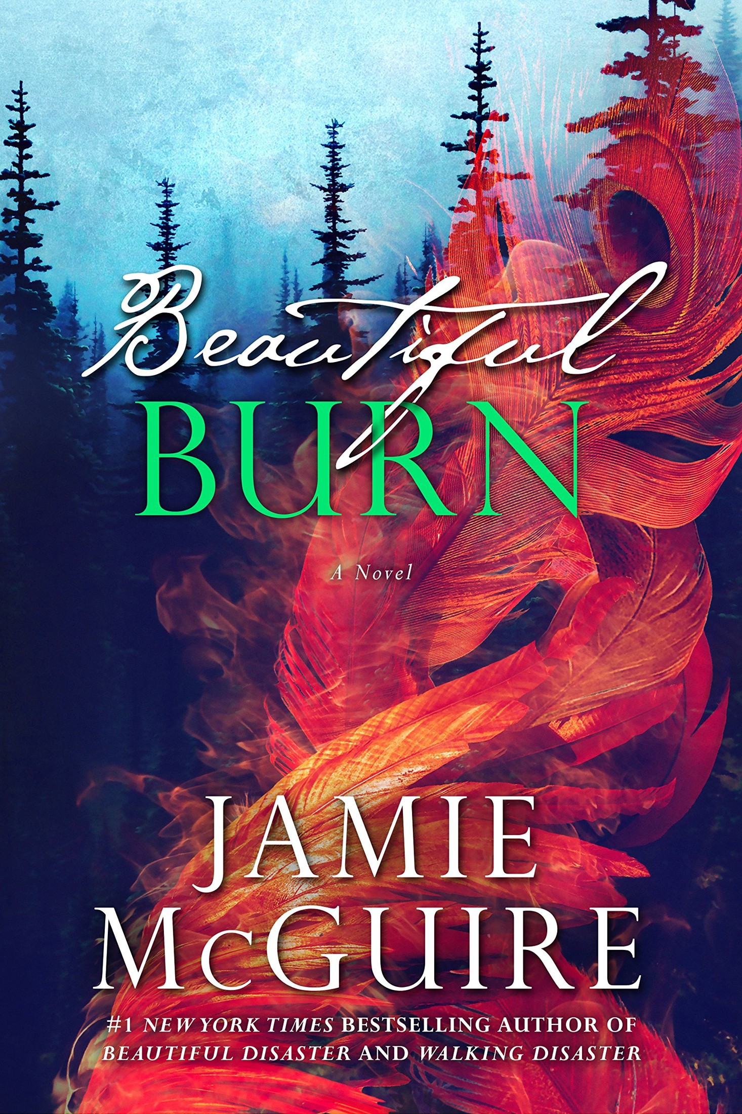 Beautiful Burn (The Maddox Brothers #4) by Jamie McGuire
