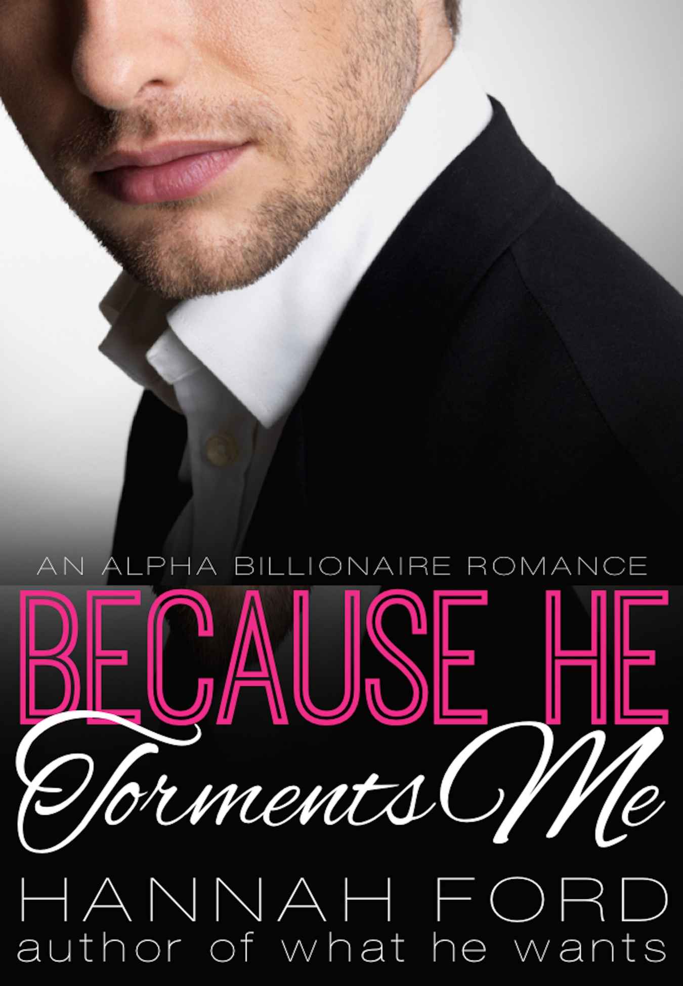 Because He Torments Me by Hannah Ford