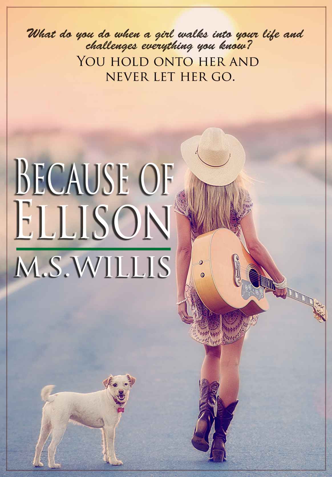 Because of Ellison by Willis, M.S.