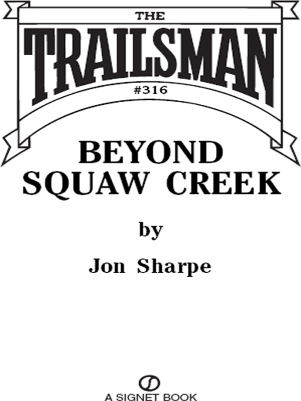 Beyond Squaw Creek (2010) by Jon Sharpe