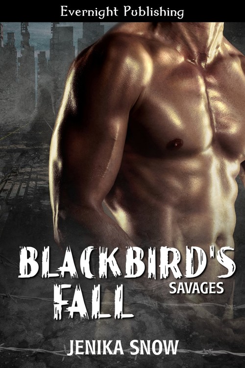 Blackbird's Fall by Jenika Snow