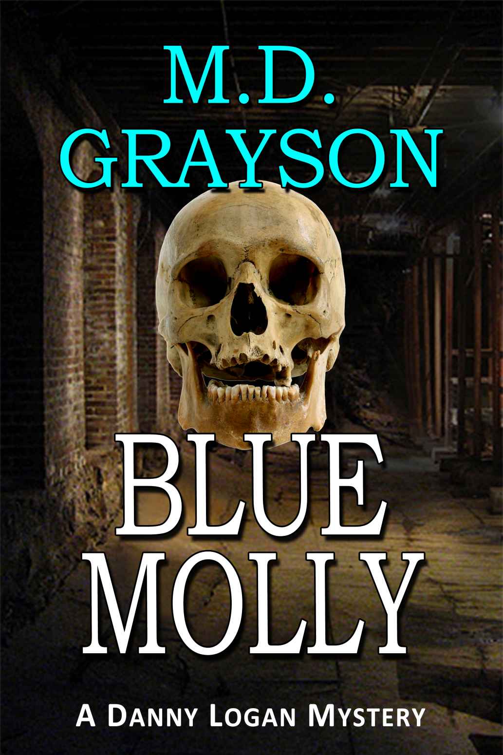 Blue Molly (Danny Logan Mystery #5) by M.D. Grayson