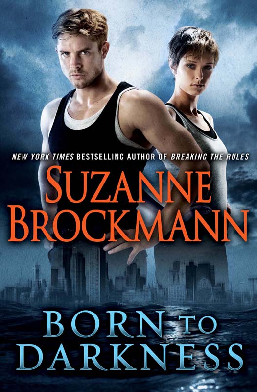 Born to Darkness (2012) by Suzanne Brockmann