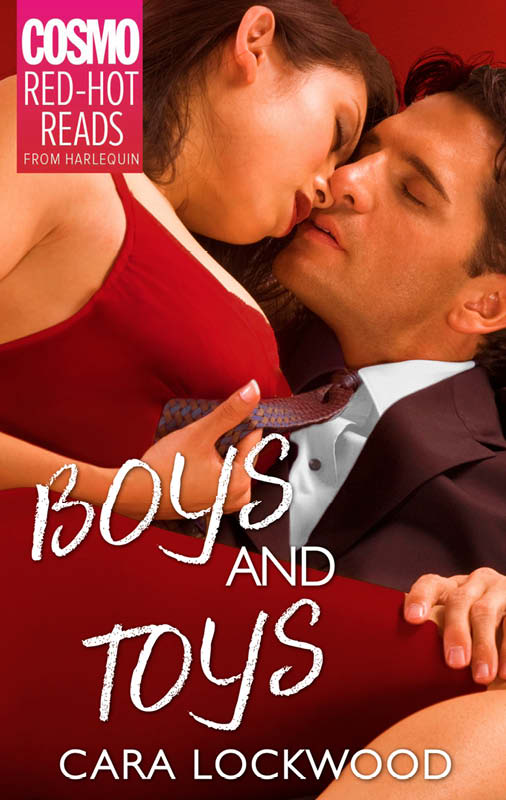Boys and Toys (2014) by Cara Lockwood