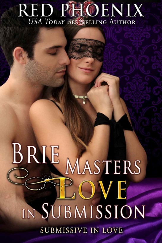 Brie Masters Love in Submission: Submissive in Love by Red Phoenix