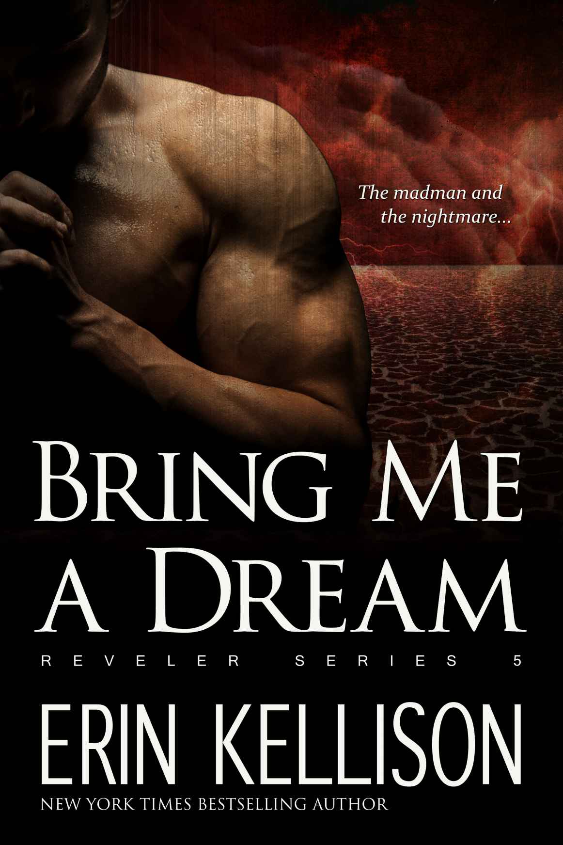 Bring Me A Dream: Reveler Series 5 by Erin Kellison