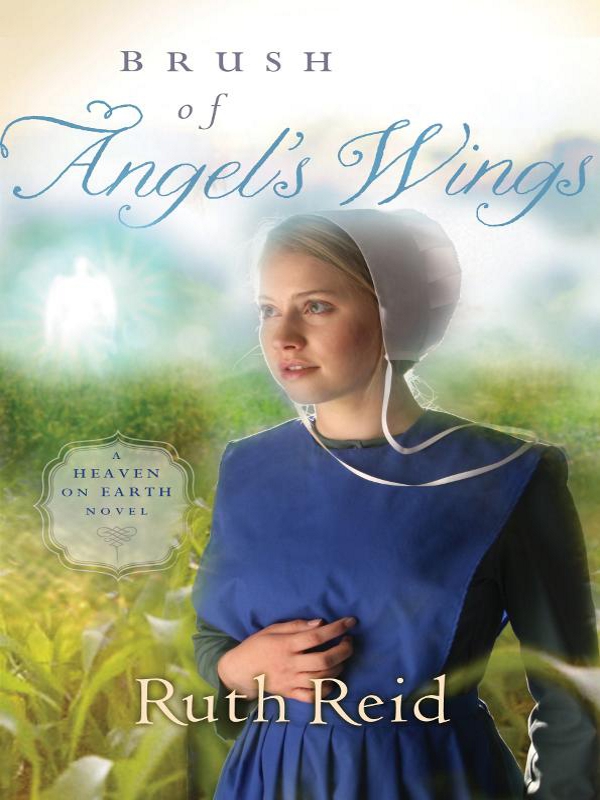 Brush of Angel's Wings (2012) by Ruth  Reid
