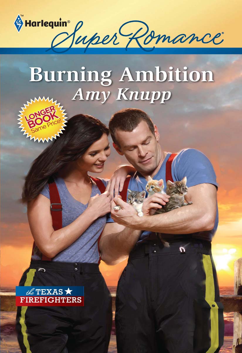 Burning Ambition by Amy Knupp