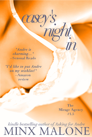 Casey's Night In (2011) by Minx Malone