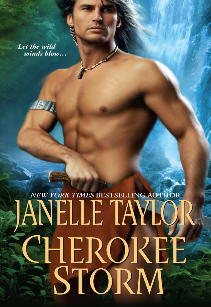 Cherokee Storm (2010) by Janelle Taylor