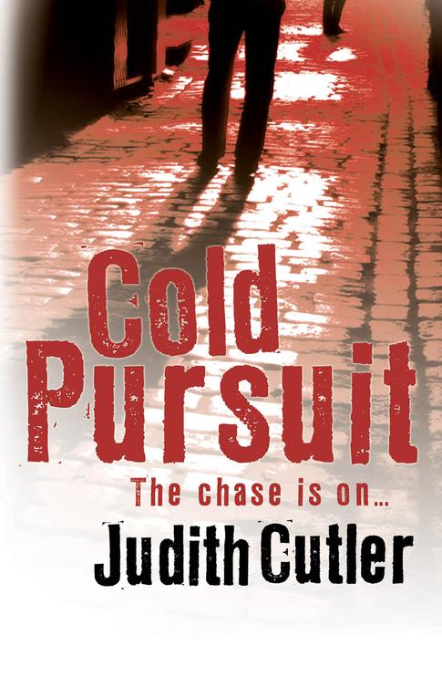 Cold Pursuit (2014) by Judith Cutler