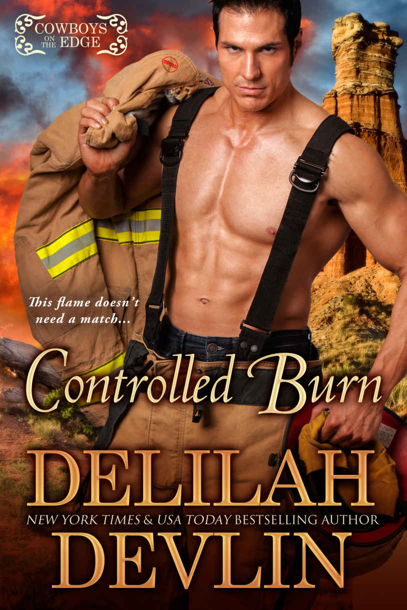 Controlled Burn by Delilah Devlin