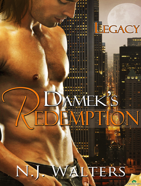 Damek's Redemption: Legacy, Book 6 (2012) by N.J. Walters