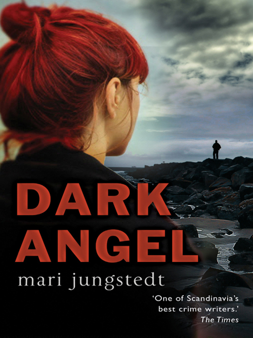 Dark Angel by Mari Jungstedt