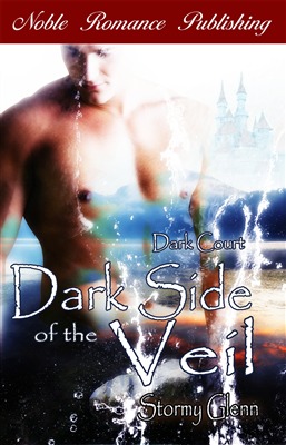 Dark Side of the Veil (2010) by Stormy Glenn