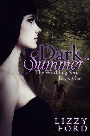 Dark Summer (2013) by Lizzy Ford