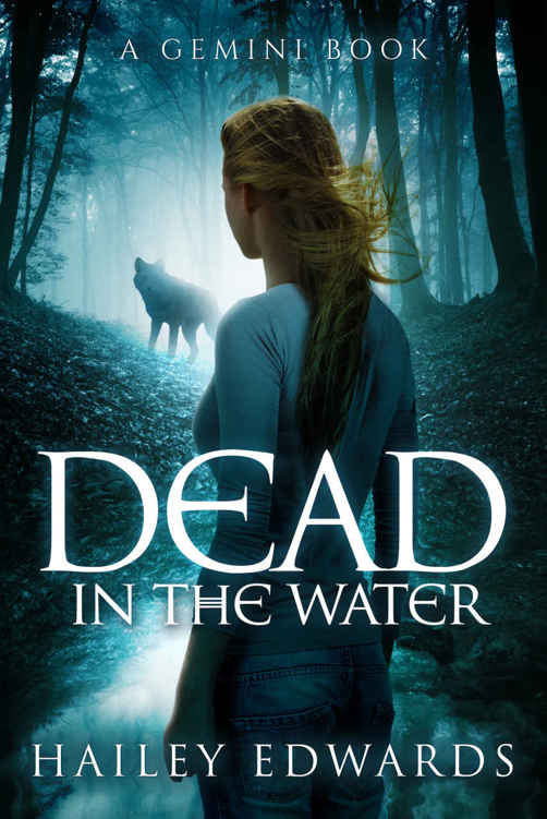 Dead in the Water (Gemini: A Black Dog Series Book 1) by Hailey Edwards