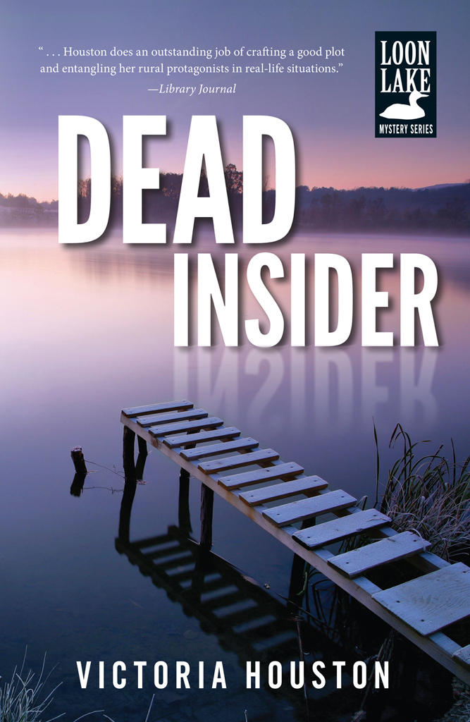 Dead Insider (2013) by Victoria Houston