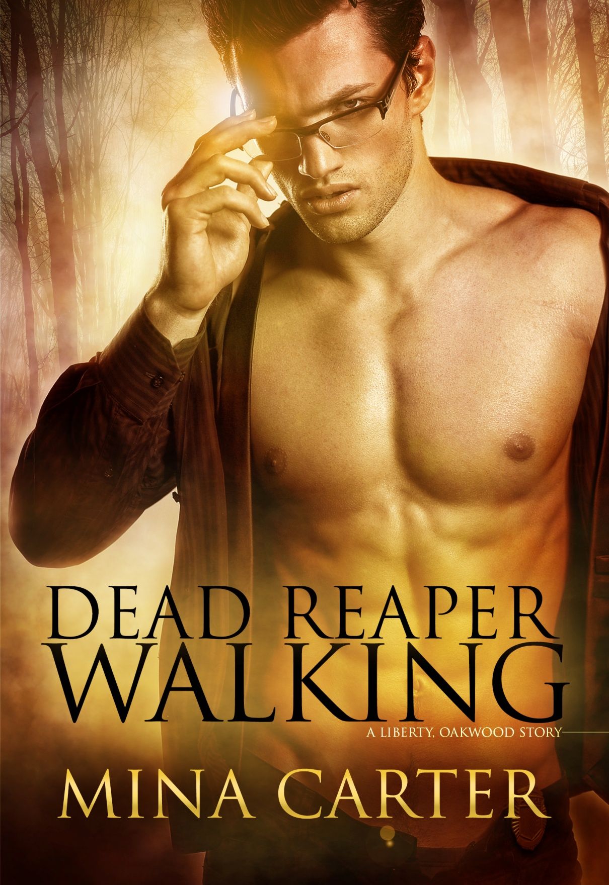 Dead Reaper Walking (2014) by Mina Carter