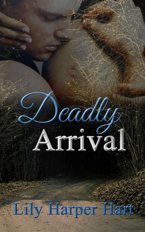 Deadly Arrival (Hardy Brothers Security Book 16)