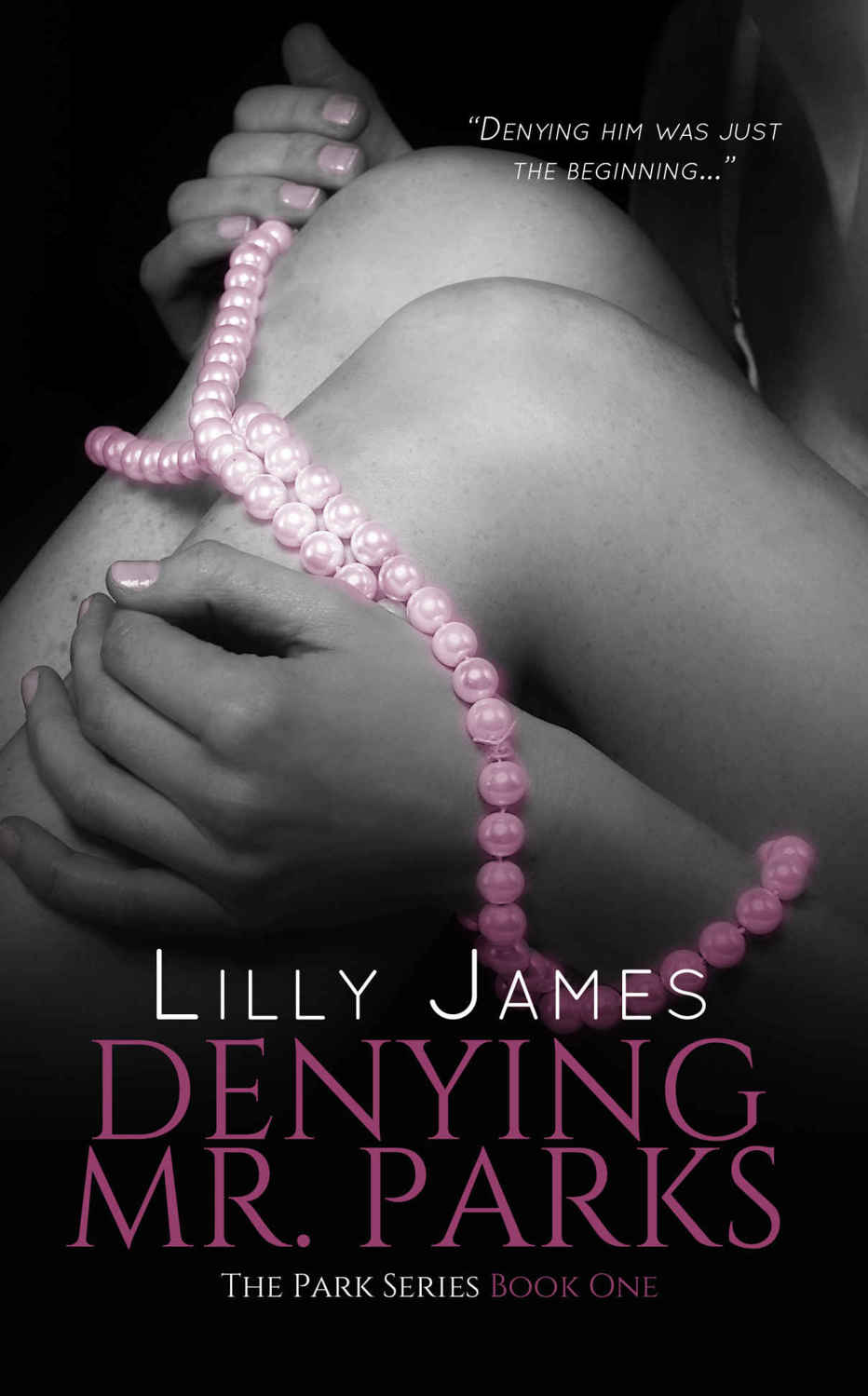 Denying Mr. Parks (The Parks #1) by Lilly James