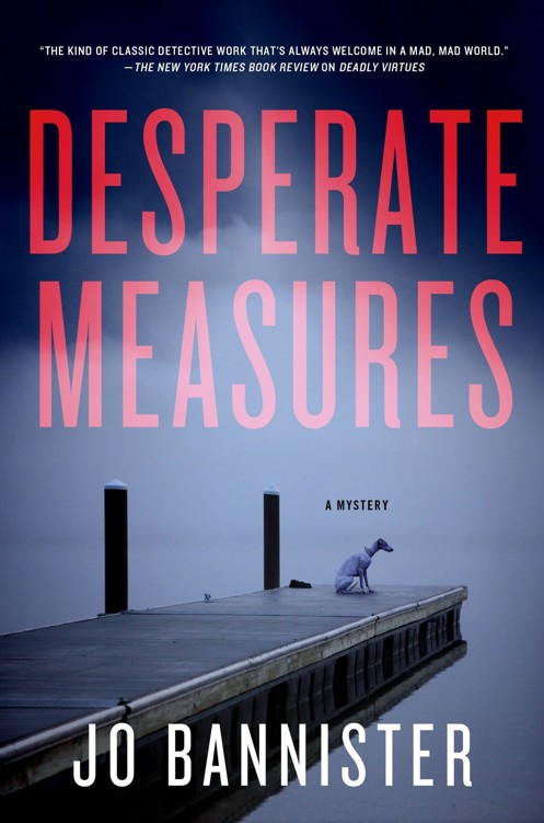Desperate Measures: A Mystery by Jo Bannister