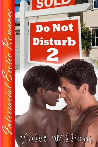 Do Not Disturb 2 by Violet Williams