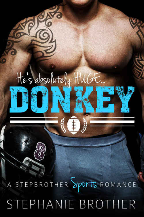 DONKEY: A Stepbrother Sports Romance (With FREE Bonus Novel Charged!) by Stephanie Brother