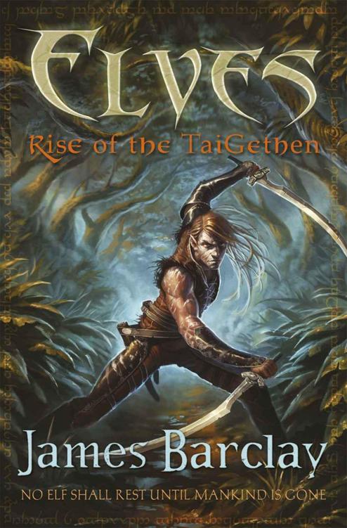 Elves: Rise of the TaiGethen by James Barclay