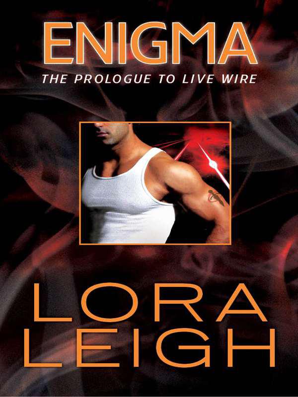 Enigma: Prologue to Live Wire by Lora Leigh