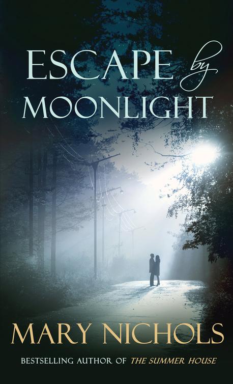 Escape by Moonlight (2013) by Mary Nichols