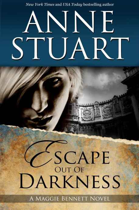 Escape Out of Darkness by Anne Stuart