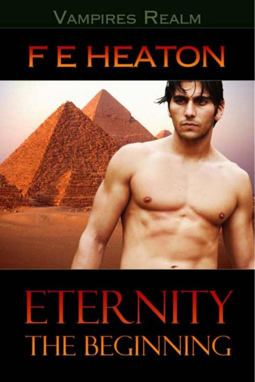 Eternity The Beginning by Felicity Heaton